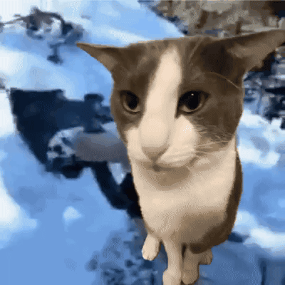 Jump GIF
