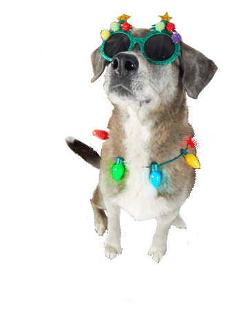 Dog Puppy Sticker by Roundhouse