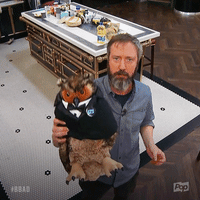 200.gif?cid=fc005b088cca4c1d155f23bd76444261e0a46c8a88274e50&rid=200.gif&ct=g