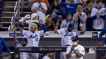 Ny Mets GIF by New York Mets
