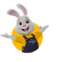 Coelho Deodoro Sticker by DeCacau Store