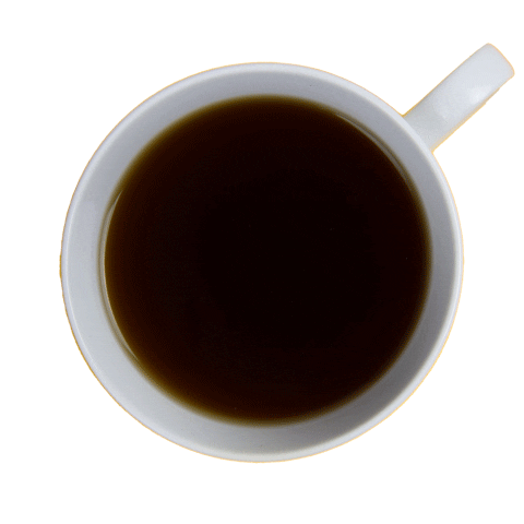 Gunn | Jerkens Sticker