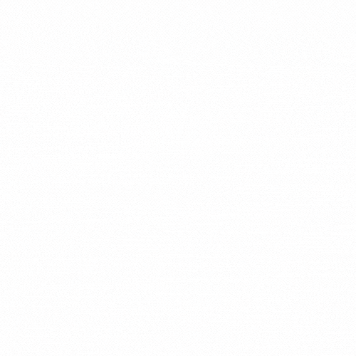 goldeneaglepetfoods GIF