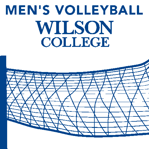 Sport Volleyball Sticker by Wilson College