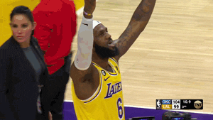Giphy - Happy Lebron James GIF by NBA