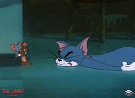 Slipping Tom And Jerry GIF by Boomerang Official