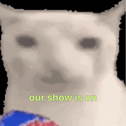 Cat Watching GIF by omhucph