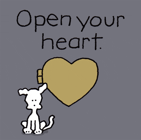 Open Your Heart Love GIF by Chippy the Dog
