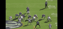 Dameon Pierce GIF