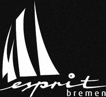 sailtraining-esprit bremen sail esprit sailtraining-esprit GIF