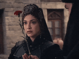 Flavius GIF