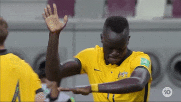 Celebrate World Cup GIF by Football Australia