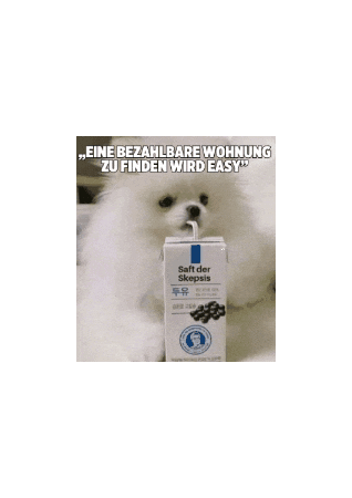 Kommunalwahl2025 Sticker by gruene_nrw