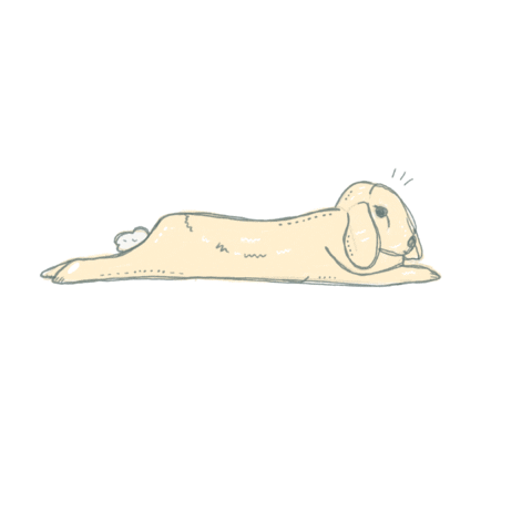 Fun Bunny Sticker