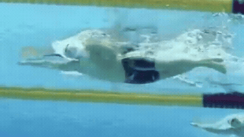Swim GIF