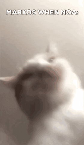 Marcus GIF