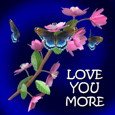Digital art gif. Blue butterflies are circling around a branch of cherry blossoms. Text, "Love you more."