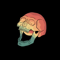 Skull Animated Gif GIFs | Tenor