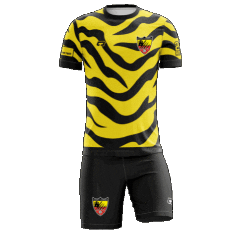 Futsal Futbolsala Sticker by Atlètic Vidreres Futbol Sala