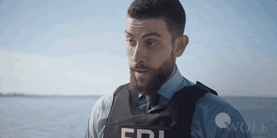 Dick Wolf Reaction GIF by Wolf Entertainment