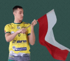 National Team Flag GIF by Aluron CMC Warta Zawiercie