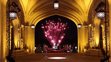 Fireworks Archway GIF by Washington University in St. Louis