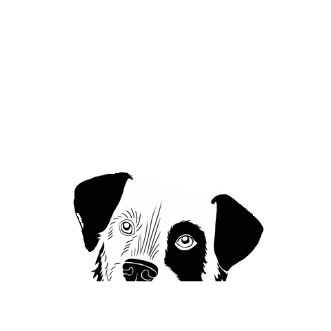 Rescue Dog Adopt Sticker by Rescueyhdistys Kulkurit