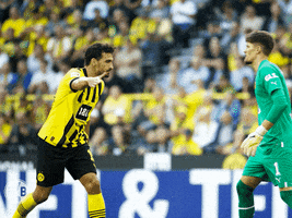 Check Hummels GIF by Borussia Dortmund