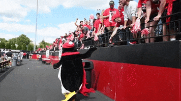 celebrate youngstown state GIF