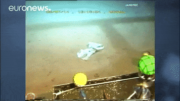 pollution deep ocean GIF by euronews