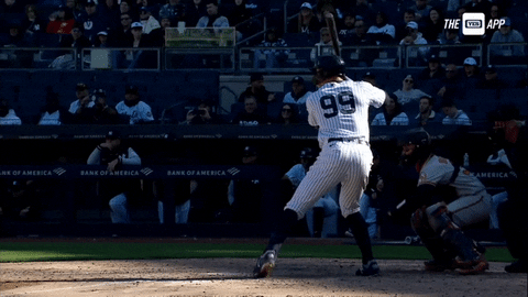 Excited New York Yankees GIF by YES Network - Find & Share on GIPHY