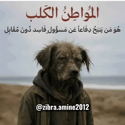 Sarcasm Dog Meme GIF