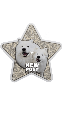 Video New Post Sticker