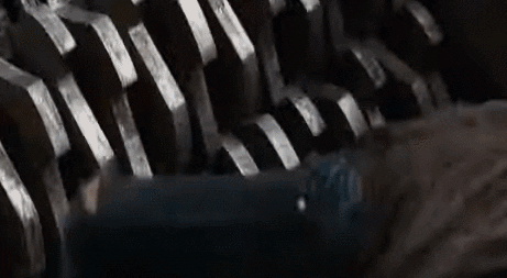 giphy.gif