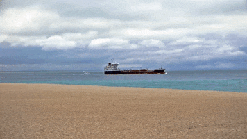 beach portugal GIF by For 91 Days