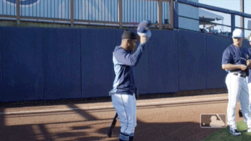 smith dancing GIF by MLB