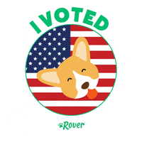 united states vote GIF by Rover.com