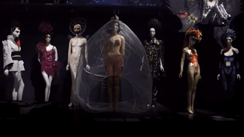 susanne bartsch on top museum GIF by The Orchard Films