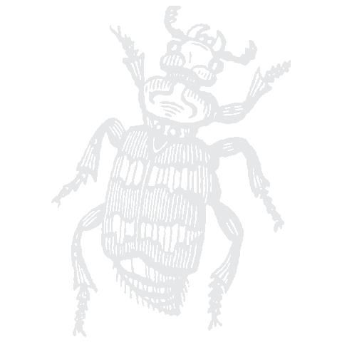 Onechance Sticker