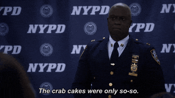 fox broadcasting captain holt GIF by Fox TV