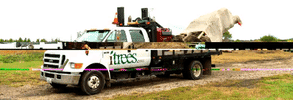 truck trees GIF by iTreesChicago