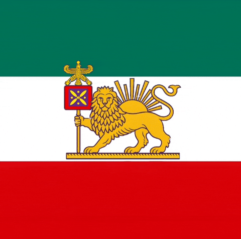 Flag King GIF