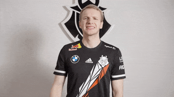 Stop It League Of Legends GIF by G2 Esports