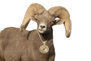 Bighorn Sheep Sticker by AZGFD