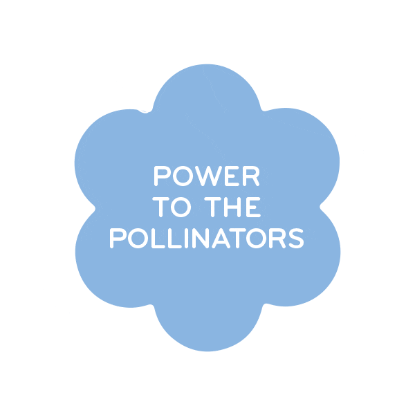 Flowers Spring Sticker by beesponsible