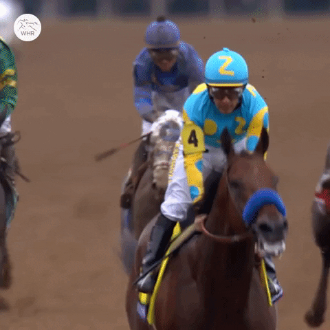 Happy Triple Crown GIF by World Horse Racing