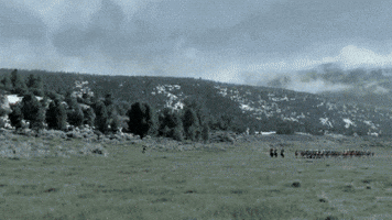 fern  GIF