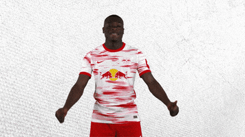 I Like Thumbs Up GIF by RB Leipzig