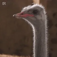 good night omg GIF by Bayerischer Rundfunk