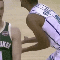 Charlotte Hornets What GIF by ESPN